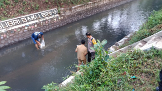 Polisi Bersama Perangkat Desa Tebar 10.000 Bibit Ikan di Bondowoso,Wujudkan Ketahanan Pangan