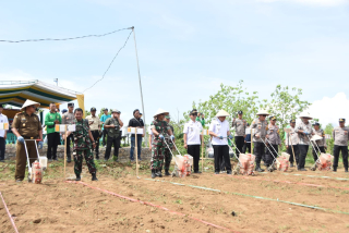 Manfaatkan Lahan Kritis, Polres Bondowoso Bersama Kodim 0822 Tanam Jagung Gelorakan Swasembada Pangan