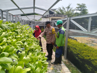 Dukung Ketahanam Pangan Bhabinkamtibmas Tanjung Perak Dampingi Warga Rawat Tanaman Hidroponik.