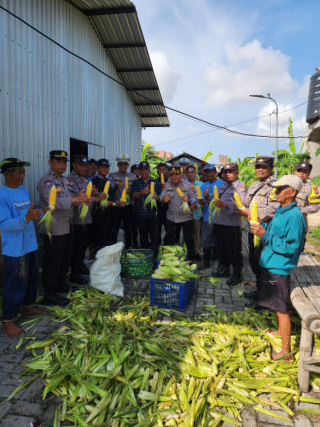 Dukung Ketahanan Pangan Nasional Polres Pelabuhan Tanjung Perak Gelar Panen Raya Jagung Manis ke-8,