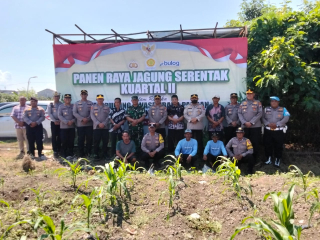 Panen Raya Jagung Serentak Kwartal II, Polres Pelabuhan Tanjung Perak Dukung Ketahanan Pangan Nasional