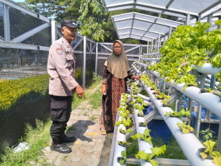 Bhabinkamtibmas Kelurahan Tanjung Perak Laksanakan Pembinaan Program Ketahanan Pangan di Lahan Hidroponik Petekkan