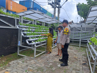 Bhabinkamtibmas Tanjung Perak Laksanakan Pembinaan Program Ketahanan Pangan di Taman Hidroponik Petekkan