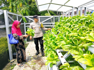 Bhabinkamtibmas Laksanakan Pembinaan Ketahanan Pangan di Taman Hidroponik Petekkan Riverside
