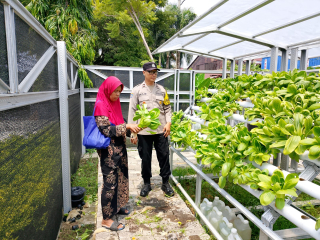 Bhabinkamtibmas Pabean Cantikan Laksanakan Pembinaan Program Ketahanan Pangan di Pekarangan Hidroponik