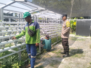 Bhabinkamtibmas Laksanakan Pembinaan Program Ketahanan Pangan Hidroponik Di Taman Petekkan Riverside