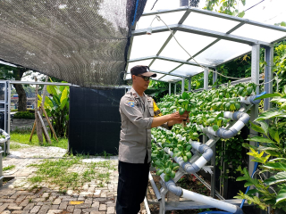 Bhabinkamtibmas Laksanakan Pembinaan Program Ketahanan Pangan di Pekarangan Hidroponik Petekkan