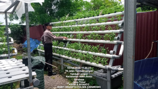 Patroli Polsek Asemrowo Pantau Tanaman Hidroponik Buah Melon di Tambak Sarioso