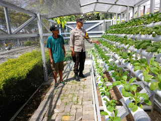 Bhabinkamtibmas Laksanakan Pembinaan Program Ketahanan Pangan Hidroponik di Taman Petekkan Riverside