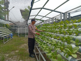 Bhabinkamtibmas Laksanakan Asistansi Dan Pembinaan Pekarangan Hidroponik Dalam Rangka Ketahanan Pangan