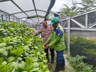 Bhabinkamtibmas Tanjung Perak Laksanakan Pembinaan Program Ketahanan Pangan Melalui Asistensi Pekarangan Hidroponik di Taman Petekkan Riverside
