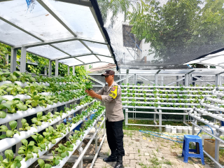 Bhabinkamtibmas Laksanakan Pembinaan Program Ketahanan Pangan Melalui Pekarangan Hidroponik di Taman Petekkan Riverside