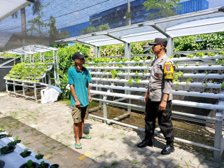 Bhabinkamtibmas Laksanakan Pembinaan Program Ketahanan Pangan Hidroponik di Taman Petekkan Riverside