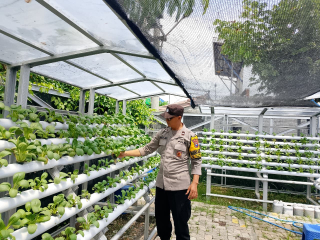 Bhabinkamtibmas Lakukan Pembinaan Ketahanan Pangan Hidroponik dan Sosialisasi Kamtibmas di Taman Petekkan Riverside