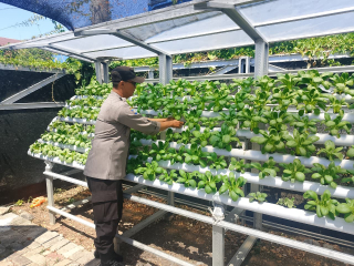 Bhabinkamtibmas Laksanakan Pembinaan Program Ketahanan Pangan Hidroponik di Taman Petekkan Riverside