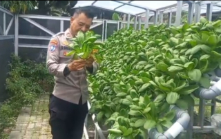 Bhabinkamtibmas Laksanakan Pembinaan Ketahanan Pangan Hidroponik di Taman Petekkan Riverside