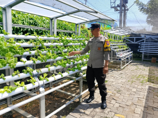 Bhabinkamtibmas Laksanakan Pembinaan Ketahanan Pangan Hidroponik di Tanjung Perak