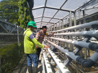 Bhabinkamtibmas Laksanakan Pembinaan Program Ketahanan Pangan Hidroponik di Taman Petekkan Riverside