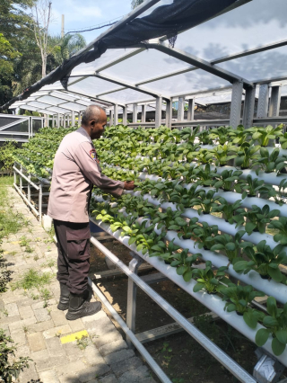 Bhabinkamtibmas Laksanakan Pembinaan Program Ketahanan Pangan Hidroponik di Taman Petekkan Riverside