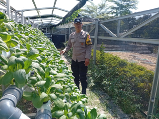 Bhabinkamtibmas Laksanakan Pembinaan Program Ketahanan Pangan Hidroponik di Taman Petekkan Riverside