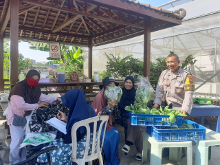 Bhabinkamtibmas Perak Barat Monitoring Ketahanan Pangan dan Panen Hidroponik di KWT Dorang Cinta.