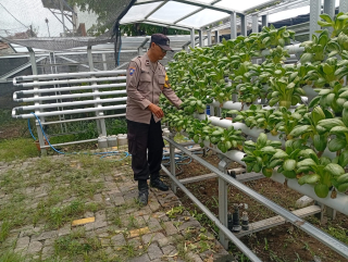 Bhabinkamtibmas Laksanakan Pembinaan Ketahanan Pangan Hidroponik di Taman Petekkan Riverside