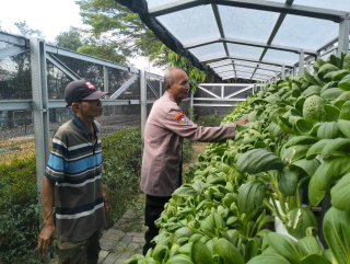 Bhabinkamtibmas Pabean Cantikan Laksanakan Pembinaan Ketahanan Pangan di Pekarangan Hidroponik Kalimas Baru