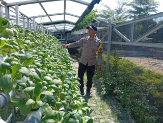 Bhabinkamtibmas Pabean Cantikan Dampingi Program Ketahanan Pangan Hidroponik di Taman Petekkan Riverside