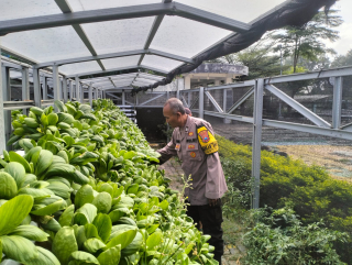 Bhabinkamtibmas Pabean Cantikan Dampingi Pembinaan Ketahanan Pangan Hidroponik di Taman Petekkan Riverside