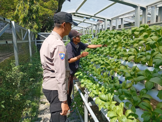 Bhabinkamtibmas Pabean Cantikan Dampingi Pengelola Hidroponik, Bahas Pengembangan Ketahanan Pangan