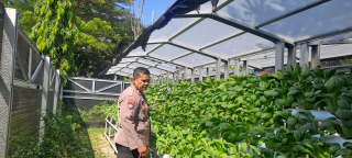 Bhabinkamtibmas Pabean Cantikan Dampingi Pengelola Hidroponik, Dukung Program Ketahanan Pangan