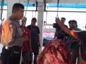 Babinkamtibmas Sidotopo Berikan Penyuluhan Waspada Penyembelihan Sapi Betina Produktif
