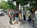 Penertiban PKL Bantaran Kali Tebu Dikawal Polsek Kenjeran