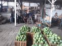 Babinkamtibmas Pegirian Sambang Pedagang Pasar Buah, Sampaikan Pesan Wajib Masker
