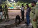 Bersama Satpol PP, Polsek Kenjeran Gelar Penertiban Masker di Depan Taman Suroboyo