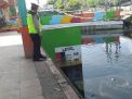 Polsek Asemrowo Pantau Ketinggian Air, Antisipasi Potensi Banjir