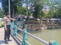 Polsek Pabean Cantikan Pantau Ketinggian Sungai Kalimas, Waspada Adanya Potensi Banjir
