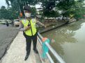 Polsek Pabean Cantikan Lakukan Pengecekan Ketinggian Air Sungai Kalimas, Antisipasi Adanya Potensi Banjir