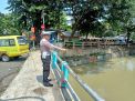 Polsek Pabean Cantikan Laksanakan Patroli Pemantauan Debit Air Sungai Kalimas, Terpantau Dalam Batas Normal