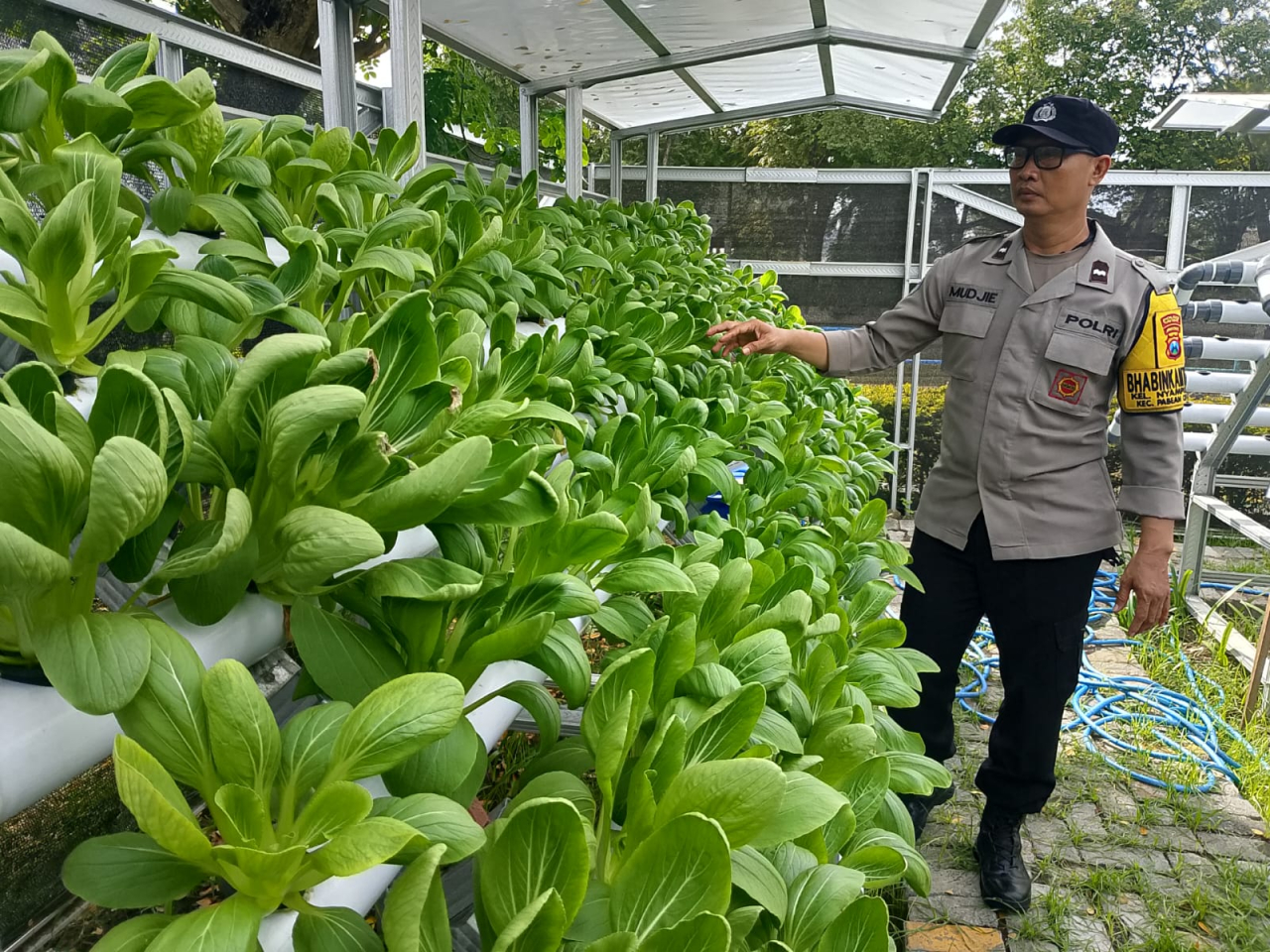 Bhabinkamtibmas Tanjung Perak Laksanakan Pembinaan Program Ketahanan Pangan Berbasis Hidroponik