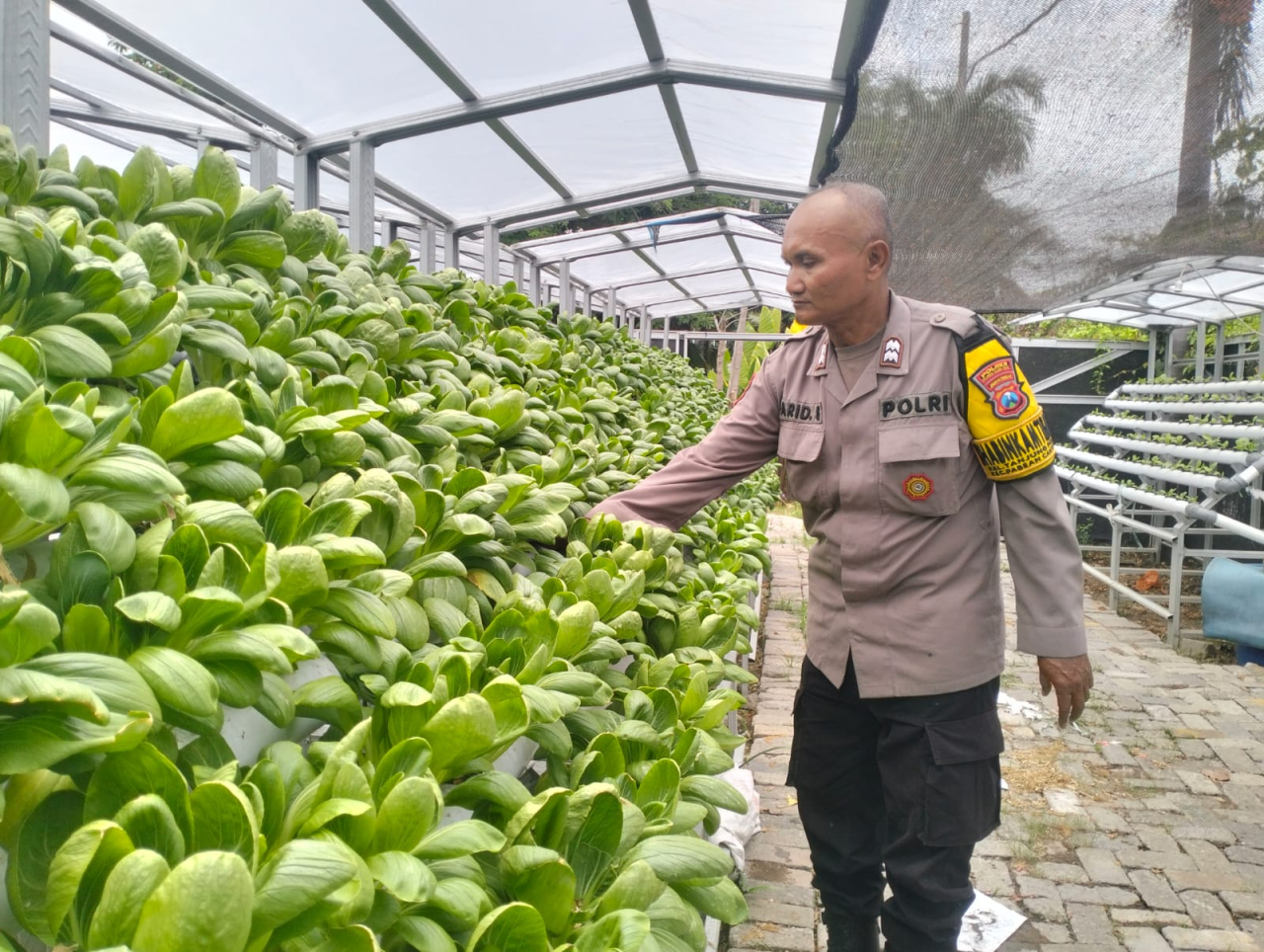 Bhabinkamtibmas Kelurahan Tanjung Perak Sambang Kelompok Tani Petekan 8 Pantau Program Ketahanan Pangan