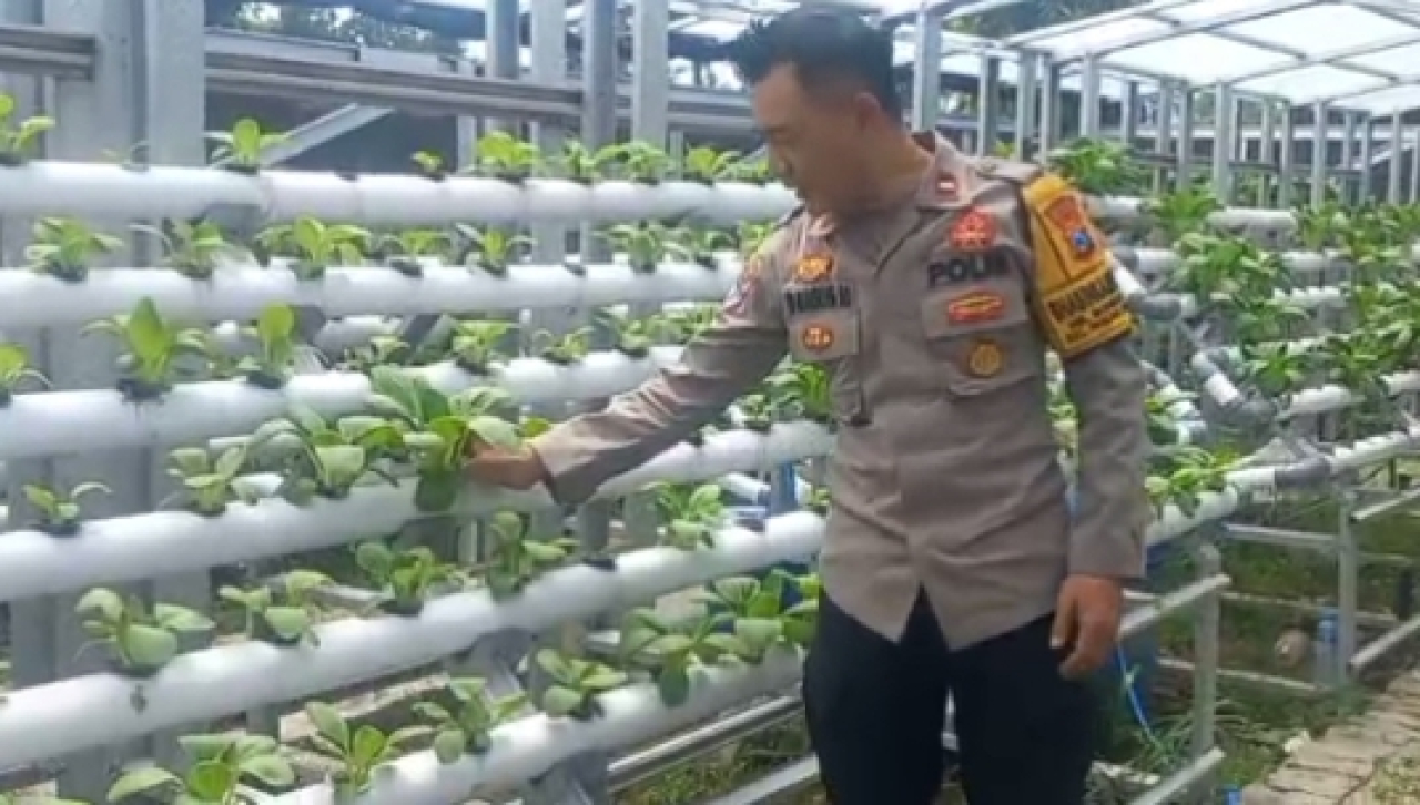 Bhabinkamtibmas Laksanakan Pembinaan Program Ketahanan Pangan Hidroponik di Taman Petekkan Riverside