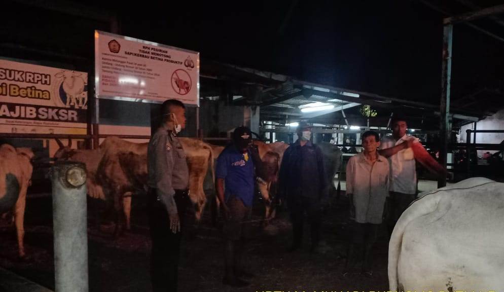 Babinkamtibmas Sidotopo Pantau Proses Penyembelihan Hewan di RPH