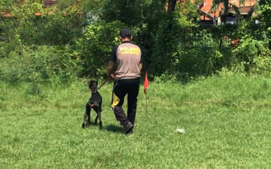 Unit Satwa Polres Tanjung Perak Lakukan Perawatan & Pelatihan Anjing