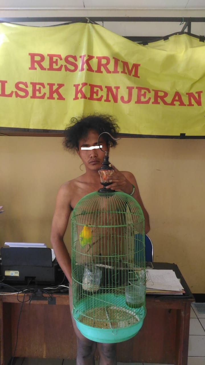 Curi Burung Untuk Makan, Kini Malah Dapat Makan Gratis di Tahanan